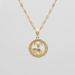 Zodiac Necklace -Prya Store AiresZodiacNecklace