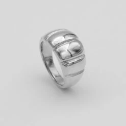 Alessia Chunky Ribbed Ring -Prya Store Alessiaring silver 1
