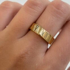 Amaia Band Ring 11 Amaia Band Ring -Prya Store AmaiaBandRing 1