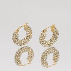 Amiya CZ Hoop Earrings 11 Amiya CZ Hoop Earrings -Prya Store AmiyaCZEarring G 3 PRYA