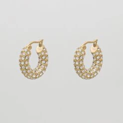 Amiya CZ Hoop Earrings 13 Amiya CZ Hoop Earrings -Prya Store AmiyaCZEarring G 6 PRYA