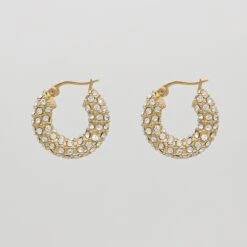 Amiya CZ Hoop Earrings