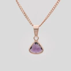 Birthstone Pendant Necklace -Prya Store BirthstoneNecklace Amethyst 01 PRYA 3