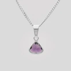 Birthstone Pendant Necklace -Prya Store BirthstoneNecklace Amethyst 01 PRYA 4