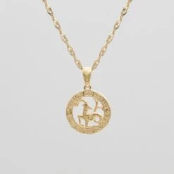 Zodiac Necklace -Prya Store CapricornZodiacNecklace