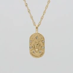 Zodiac Tarot Card Necklace -Prya Store CapricornZodiacTarotCardNecklace Gold 01 PRYA