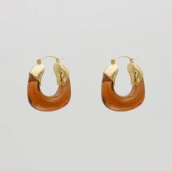 Celine Amber Earrings