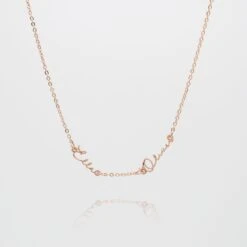 Selina Multiple Name Necklace -Prya Store DoubleSelinaNameNecklace 2 2