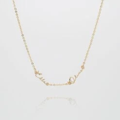 Selina Multiple Name Necklace -Prya Store DoubleSelinaNameNecklace 2