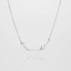 Selina Multiple Name Necklace -Prya Store DoubleSelinaNameNecklace 2 3