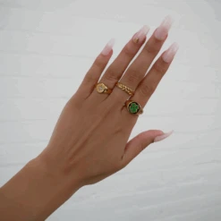 Four Leaf Clover Signet Ring -Prya Store FourLeaf Kasia StarlightStacks