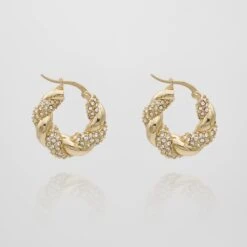 Gia Twisted Earrings -Prya Store GiaEarrings Clear