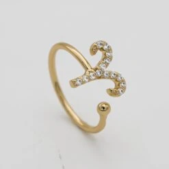 ICY Zodiac Ring -Prya Store ICYZodiacRing Aries 01 PRYA