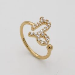 ICY Zodiac Ring -Prya Store ICYZodiacRing Capricorn 01 PRYA