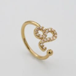 ICY Zodiac Ring -Prya Store ICYZodiacRing Leo 01 PRYA