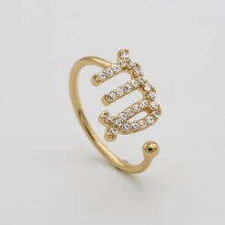 ICY Zodiac Ring -Prya Store ICYZodiacRing Virgo 01 PRYA