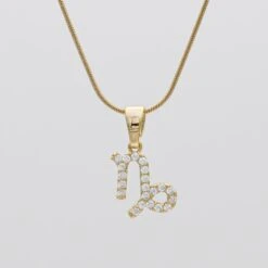 ICY Zodiac Symbol Necklace -Prya Store ICYZodiacSymbolNecklace Capricorn 01 PRYA