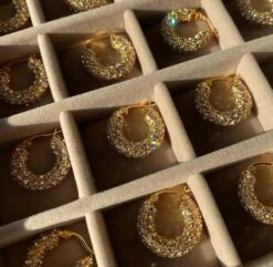 Amiya CZ Hoop Earrings 9 Amiya CZ Hoop Earrings -Prya Store IMG 52362