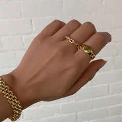 Chiara Chain Ring -Prya Store IMG 6798