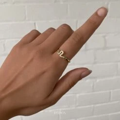 Taya Snake Ring -Prya Store IMG 6988