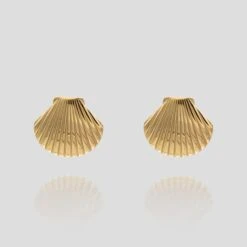 Kailani Seashell Earrings
