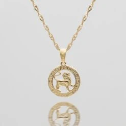Zodiac Necklace