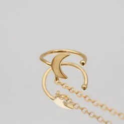 Moon & Star Drop Earring -Prya Store MoonEarring Studio Gold 03 PRYA