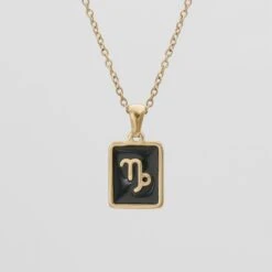 Onyx Zodiac Symbol Necklace 23 Onyx Zodiac Symbol Necklace -Prya Store OnyxZodiacSymbols Capricorn