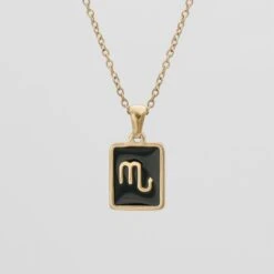 Onyx Zodiac Symbol Necklace 21 Onyx Zodiac Symbol Necklace -Prya Store OnyxZodiacSymbols Scorpio