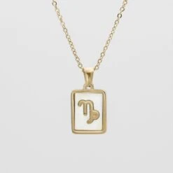 Opal Zodiac Symbol Necklace -Prya Store OpalZodiacnecklace Capricorn 01 PRYA
