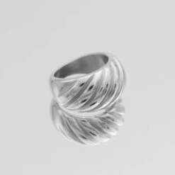 Venus Dome Ring | Silver