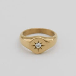 Starlight Signet Ring -Prya Store P1250264