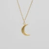 Mini Crescent Moon Necklace