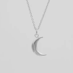 Mini Crescent Moon Necklace -Prya Store P1250532