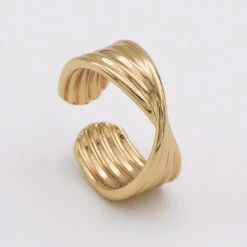 Ria Ring -Prya Store P1260658