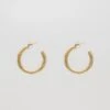 Tia Classic Hoop Earrings