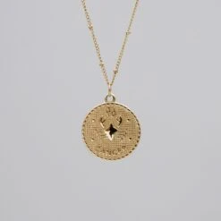 Zodiac Coin Necklace