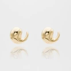 Fia Earrings -Prya Store P1720046 Edit