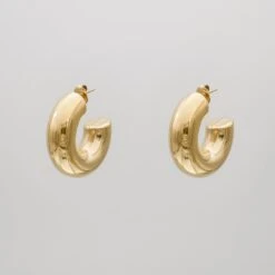 Alani Chunky Earrings -Prya Store PRYA 1480337 2