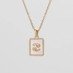 Pink Zodiac Symbol Necklace -Prya Store PinkZodiacSymbolNecklace Cancer PRYA