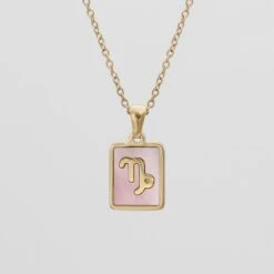 Pink Zodiac Symbol Necklace -Prya Store PinkZodiacSymbolNecklace Capricorn PRYA