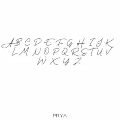 Sydney Initial Necklace -Prya Store PryaSydneyfont2