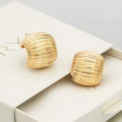 Raisa Ribbed Earrings -Prya Store Raisaearrring2 gold PRYA