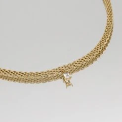 Raya Thin Necklace 23 Raya Thin Necklace -Prya Store RayaThinNecklace Studio Gold Clear 02 PRYA