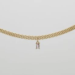 Raya Thin Necklace 19 Raya Thin Necklace -Prya Store RayaThinNecklace Studio Gold Ruby 01 PRYA