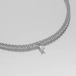 Raya Thin Necklace 16 Raya Thin Necklace -Prya Store RayaThinNecklace Studio SIlver Clear 02 PRYA