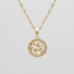 Zodiac Necklace -Prya Store SaggitariusZodiacNecklace