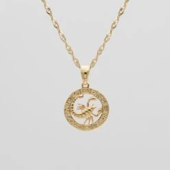 Zodiac Necklace -Prya Store ScorpioZodiacNecklace