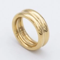Suri Double Band Ring
