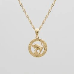 Zodiac Necklace -Prya Store TaurusZodiacNecklace